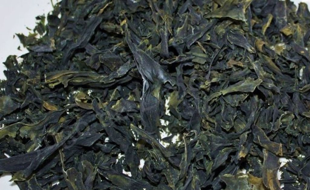 Alga Wakame «La verdura del mar»