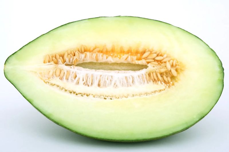Bebida de pepitas de melón tipo horchata