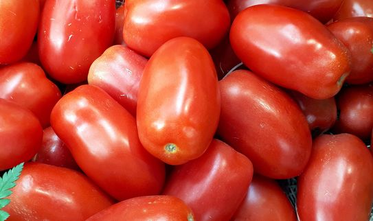 Salmorejo en Thermomix