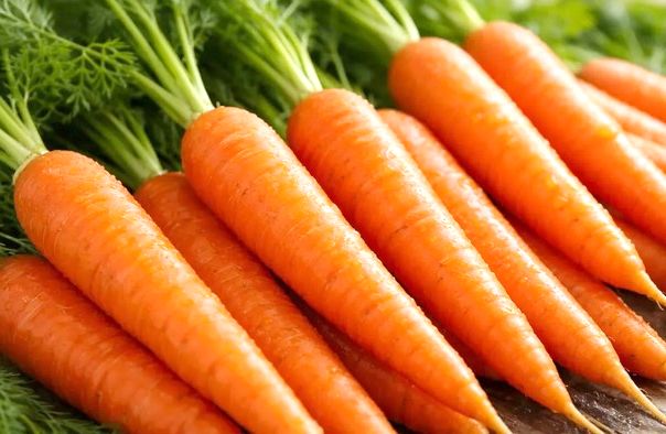 Crema de zanahorias